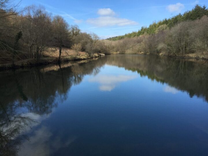 Otterhead Lakes