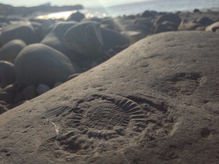 Kilve Beach