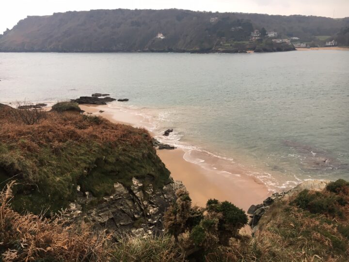 Sunny Cove