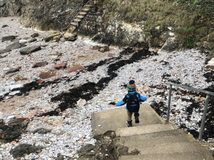Fishcombe Cove photo 4
