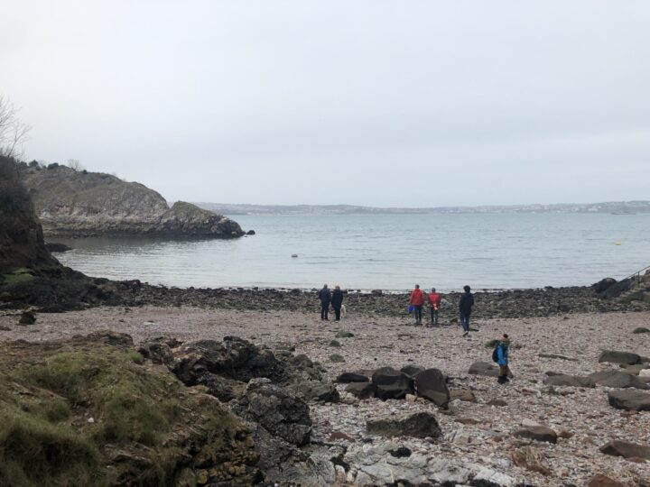 Fishcombe Cove photo 3