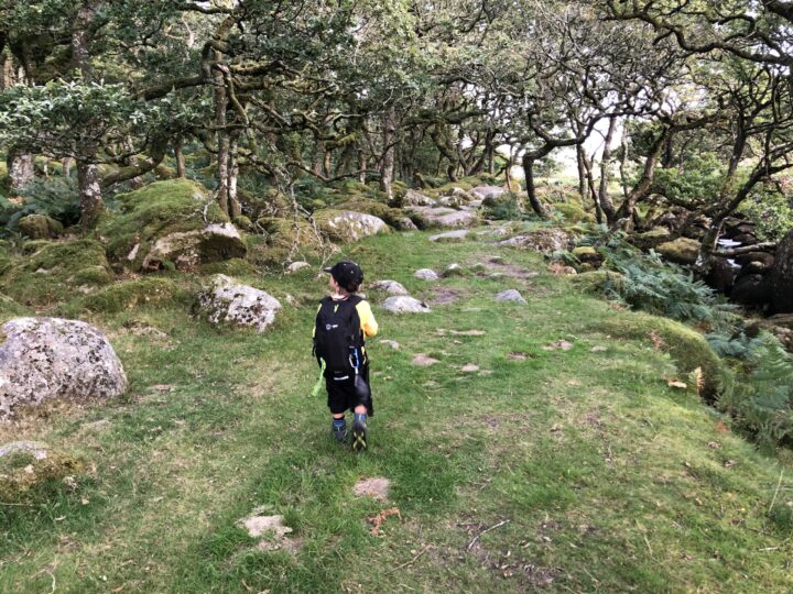 Black-a-Tor Copse photo 2
