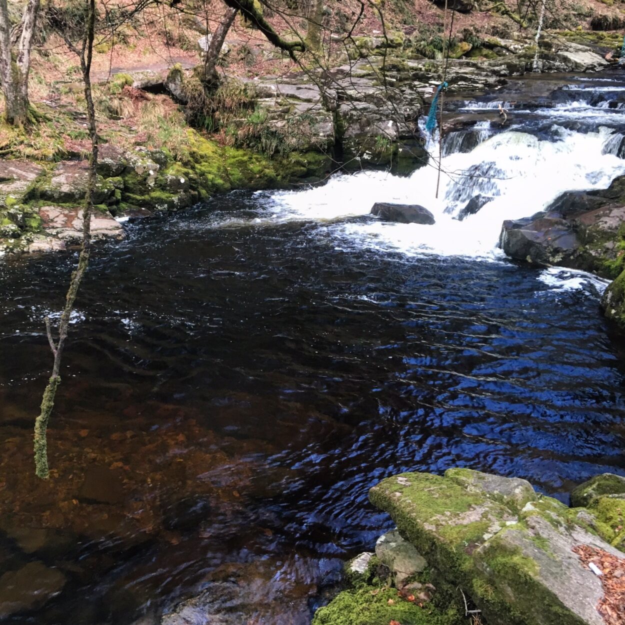 River Plym – Nr Shaugh Proir