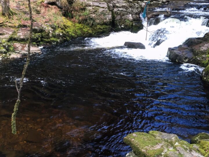 River Plym – Nr Shaugh Proir